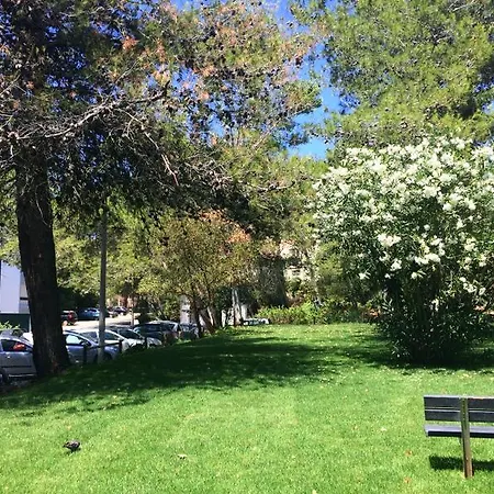 Apt. Acacias